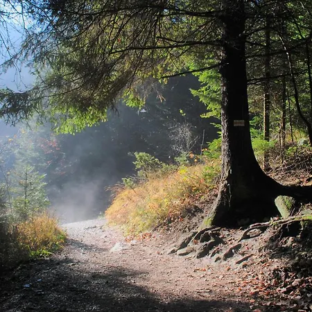 Feriegård U Danusi Sromowce Niżne
