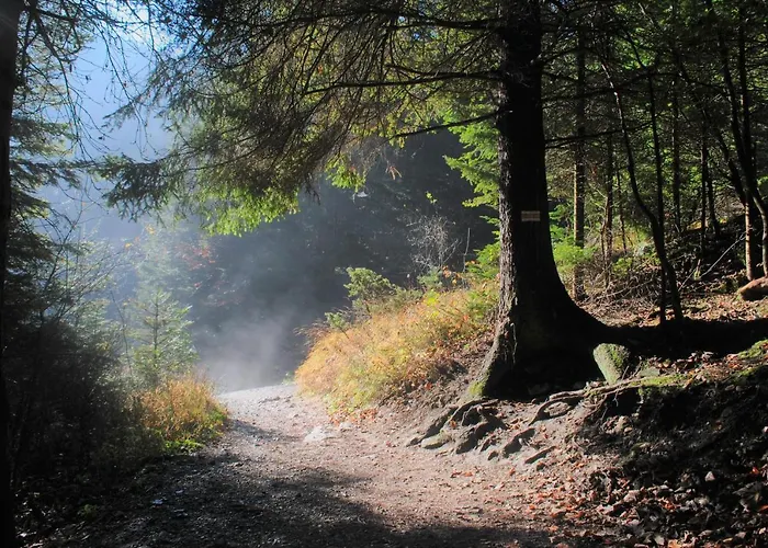 ファームステイ U Danusi Sromowce Niżne