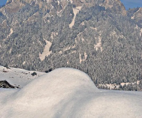 ファームステイ U Danusi